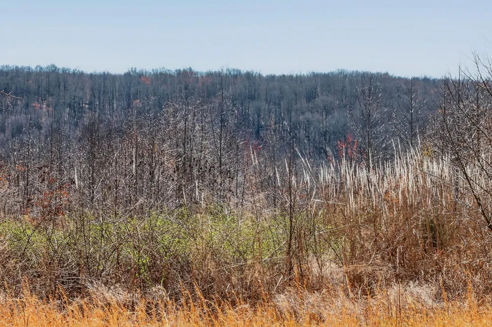 253 Highway 27 Daus Mountain Road Palmer, TN 37365