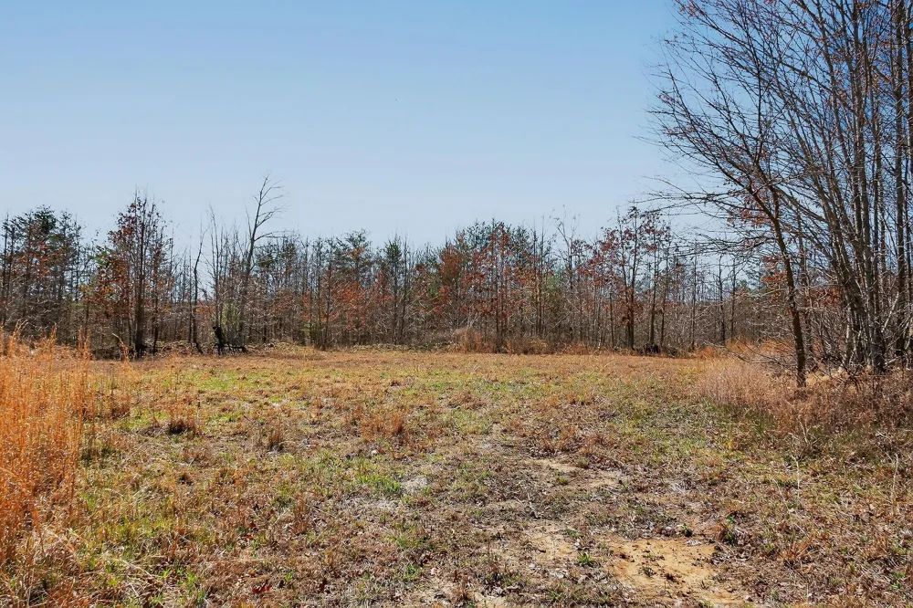 253 Highway 27 Daus Mountain Road Palmer, TN 37365