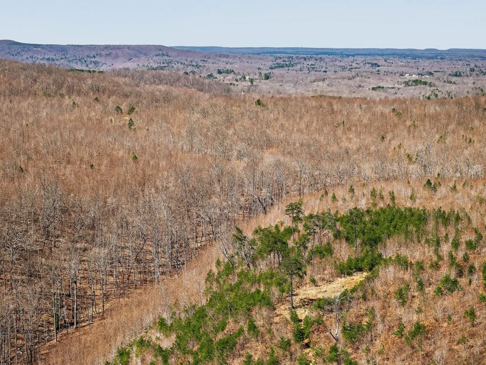 253 Highway 27 Daus Mountain Road Palmer, TN 37365
