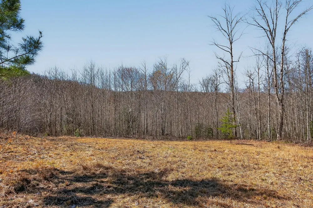 253 Highway 27 Daus Mountain Road Palmer, TN 37365