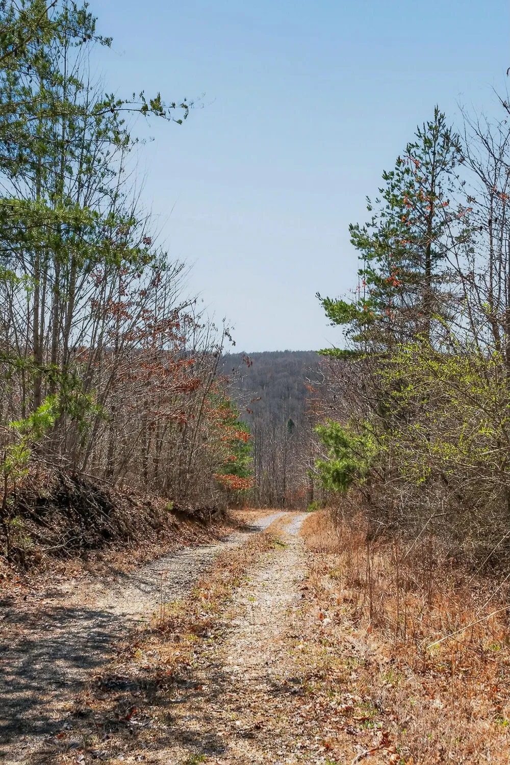 253 Highway 27 Daus Mountain Road Palmer, TN 37365