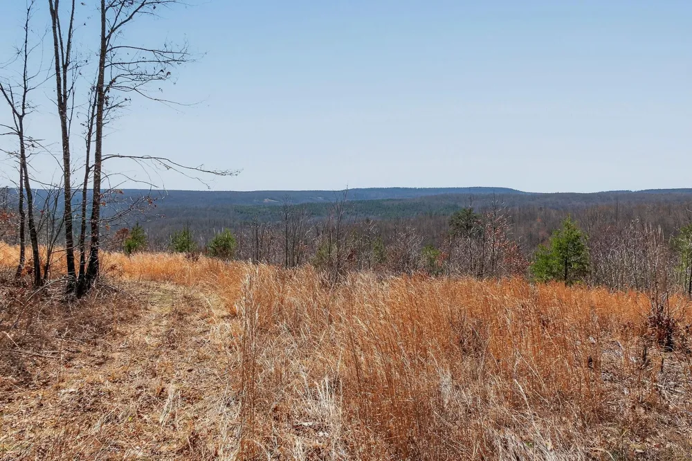 253 Highway 27 Daus Mountain Road Palmer, TN 37365