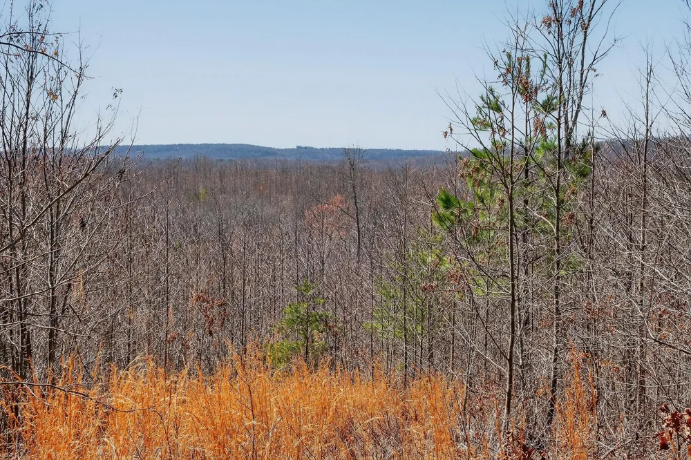 253 Highway 27 Daus Mountain Road Palmer, TN 37365