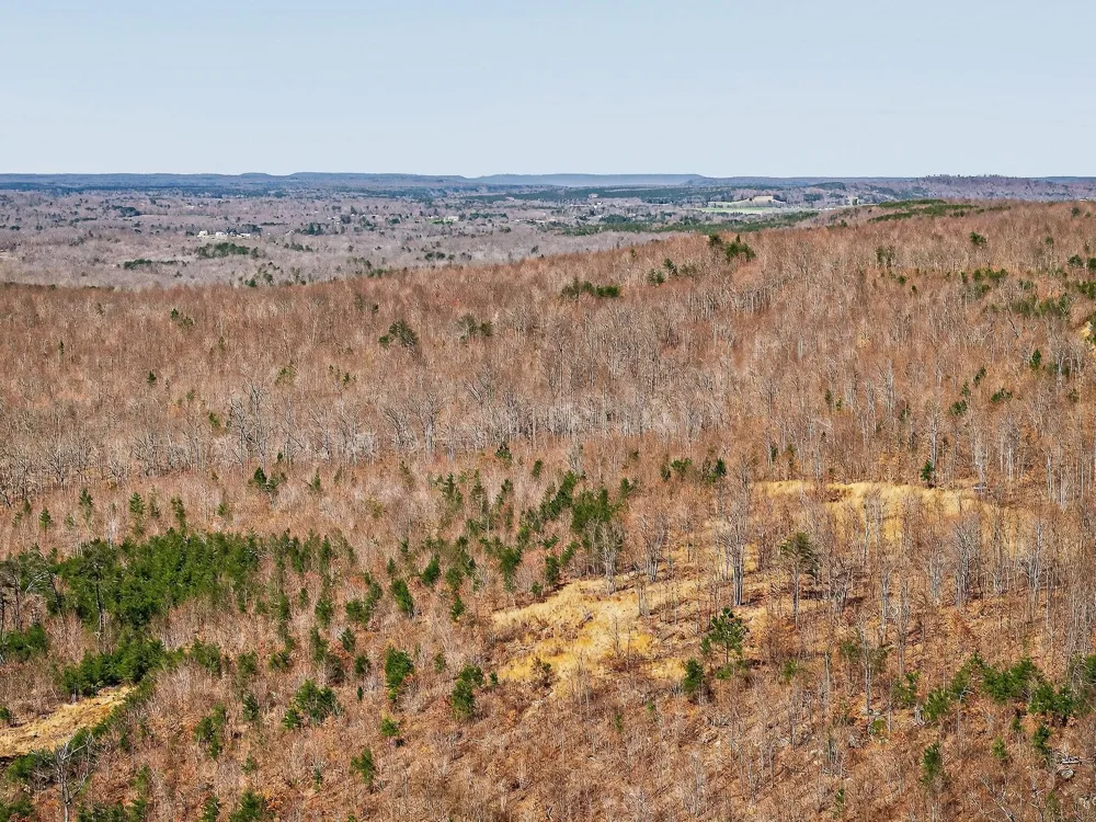 253 Highway 27 Daus Mountain Road Palmer, TN 37365
