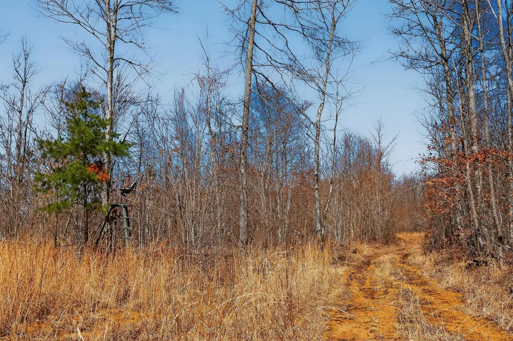 253 Highway 27 Daus Mountain Road Palmer, TN 37365