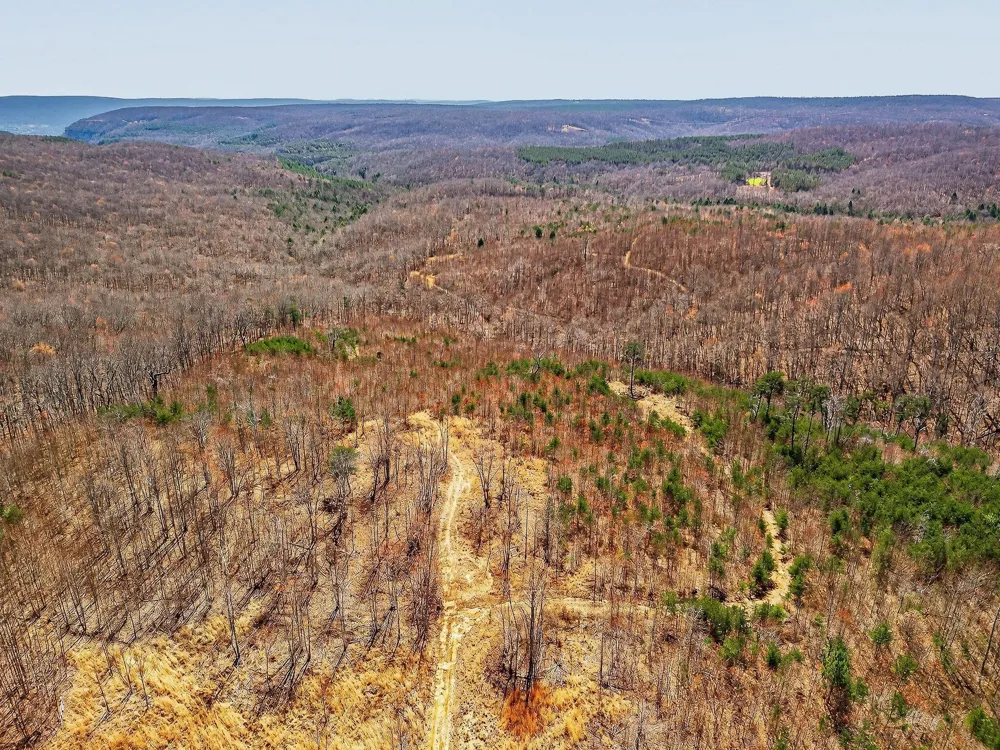 253 Highway 27 Daus Mountain Road Palmer, TN 37365