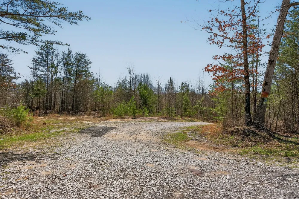 253 Highway 27 Daus Mountain Road Palmer, TN 37365