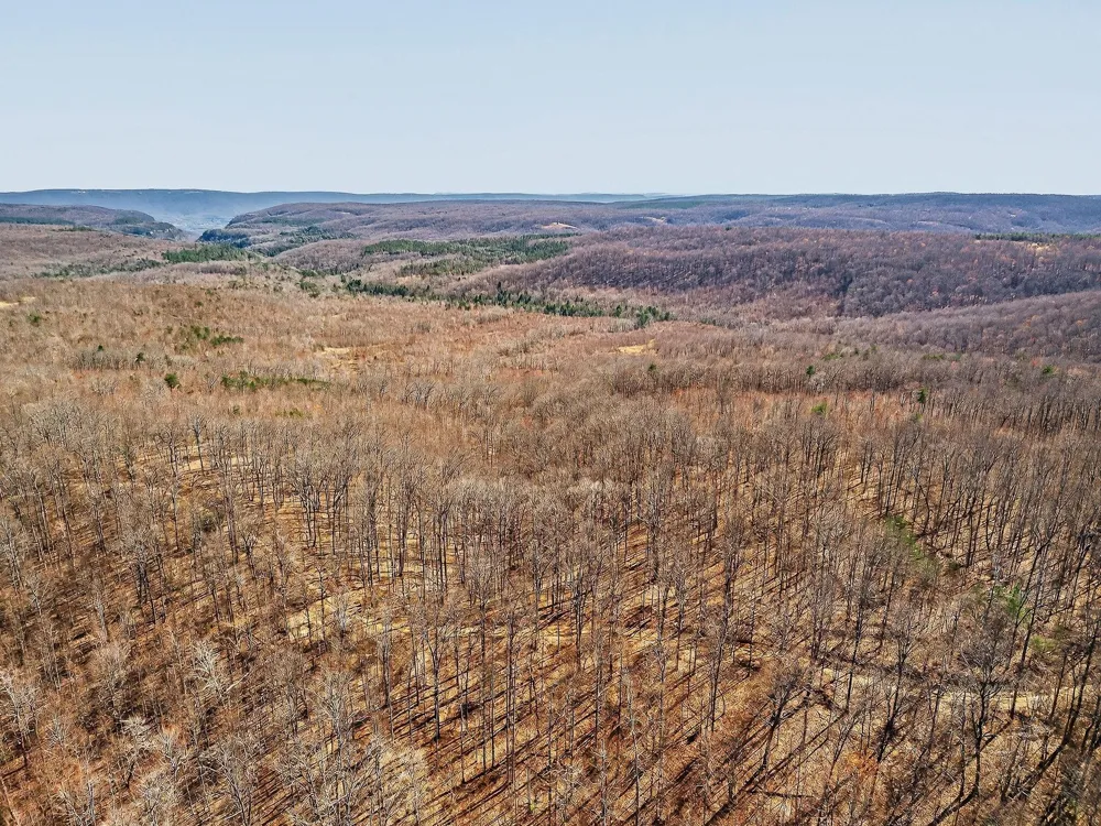 253 Highway 27 Daus Mountain Road Palmer, TN 37365