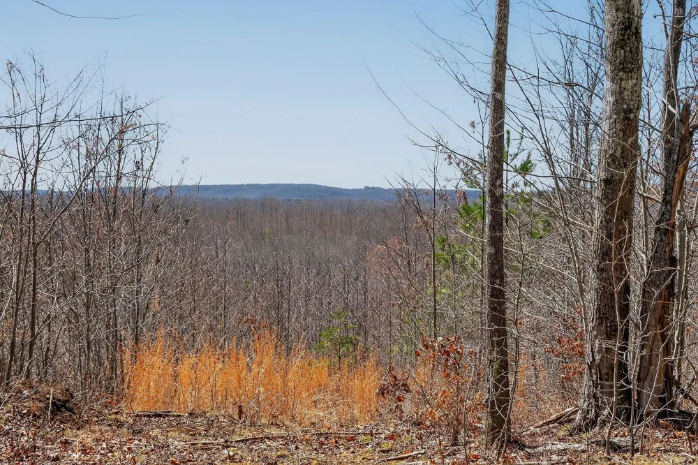 253 Highway 27 Daus Mountain Road Palmer, TN 37365