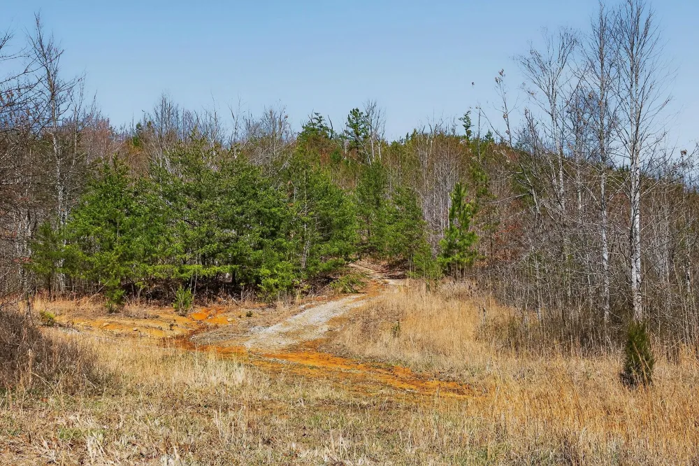 253 Highway 27 Daus Mountain Road Palmer, TN 37365