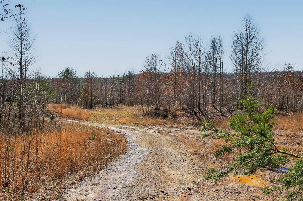 253 Highway 27 Daus Mountain Road Palmer, TN 37365