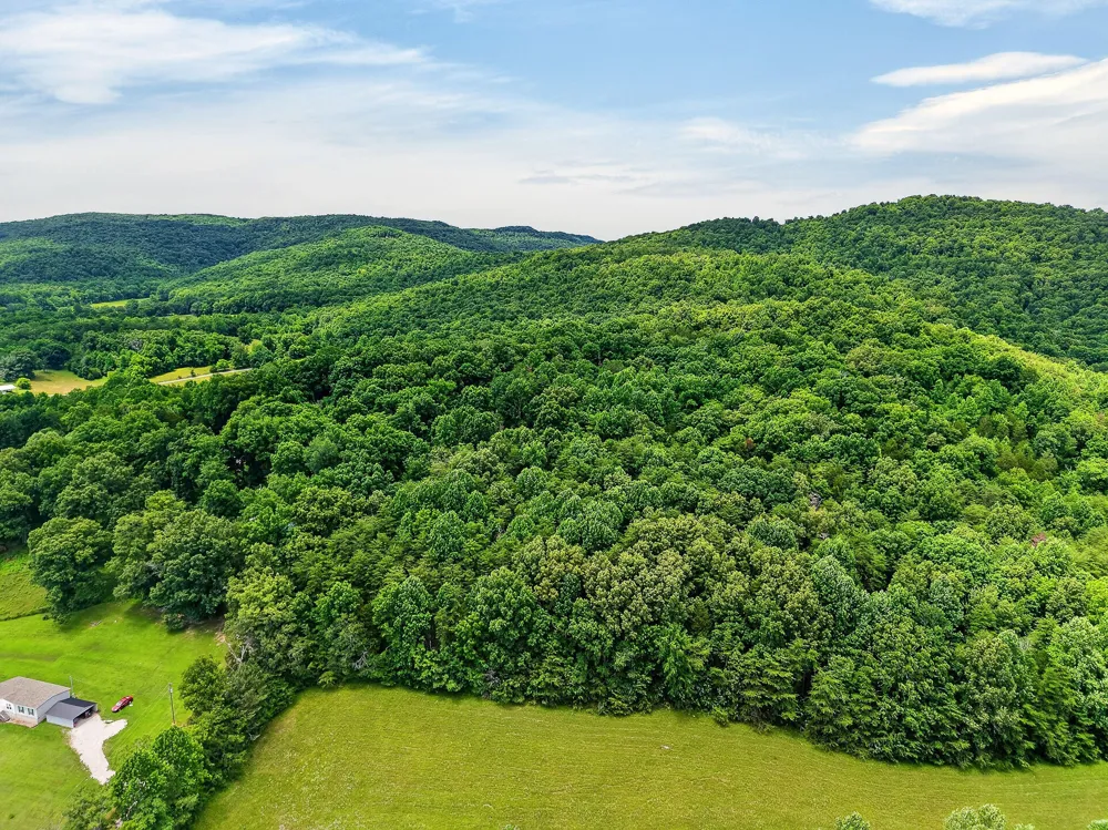 9249 Monterey Highway Sparta, TN 38583
