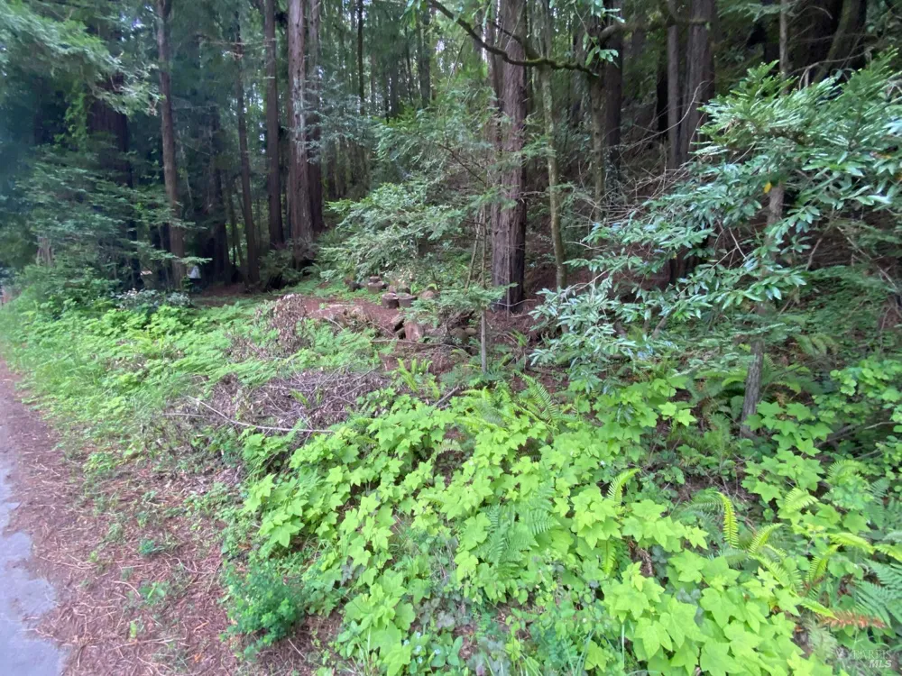 925 Cazadero Highway Cazadero, CA 95421