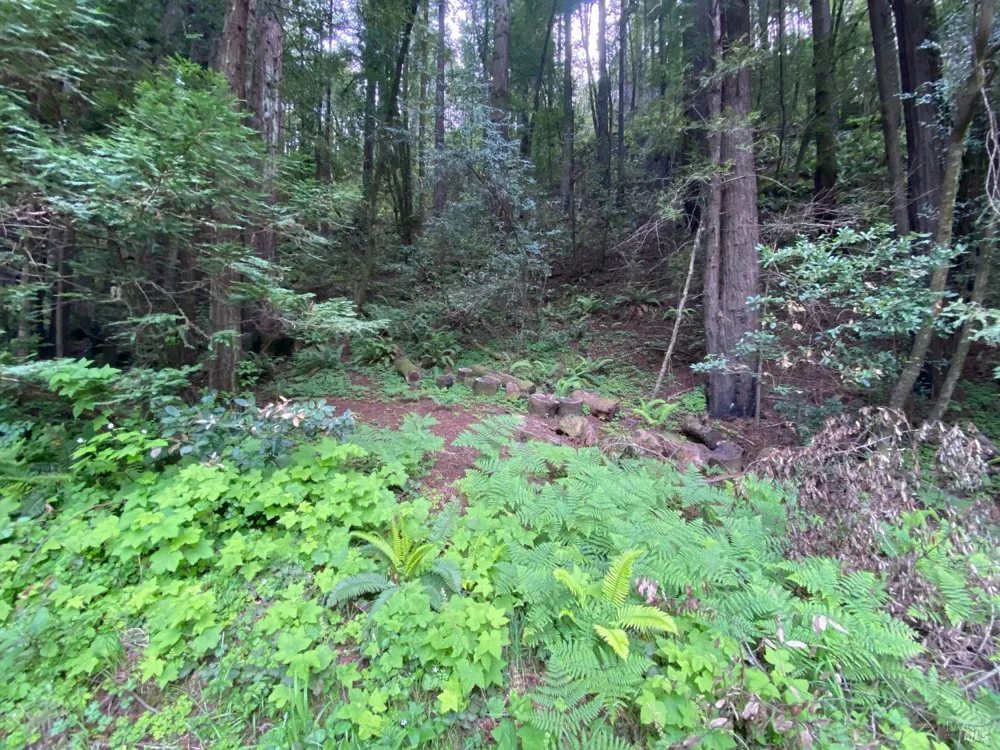 925 Cazadero Highway Cazadero, CA 95421