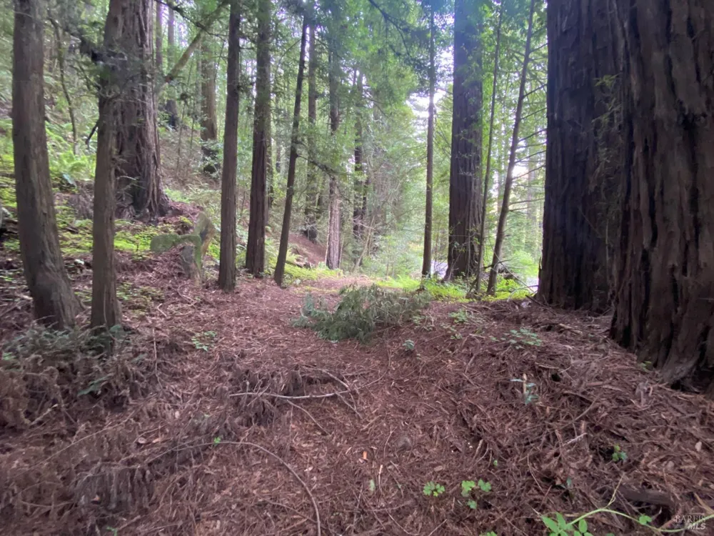 925 Cazadero Highway Cazadero, CA 95421