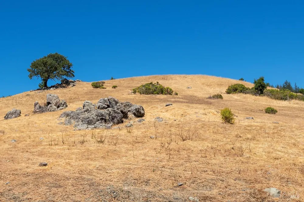 W Nicasio Road Nicasio, CA 94946