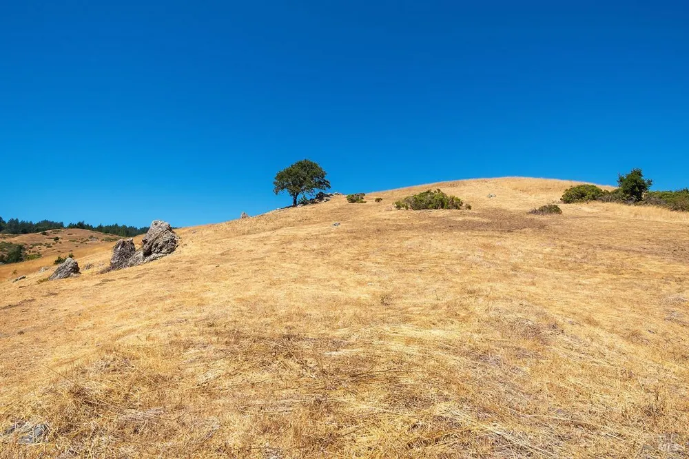 W Nicasio Road Nicasio, CA 94946