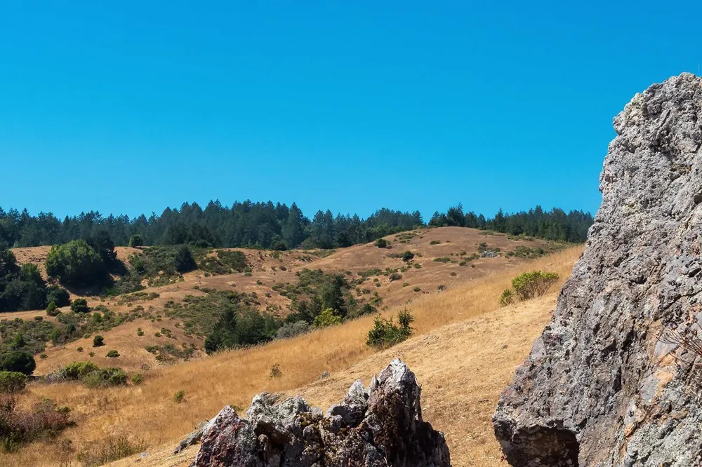 W Nicasio Road Nicasio, CA 94946