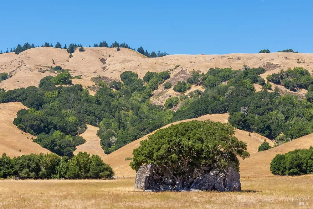 W Nicasio Road Nicasio, CA 94946