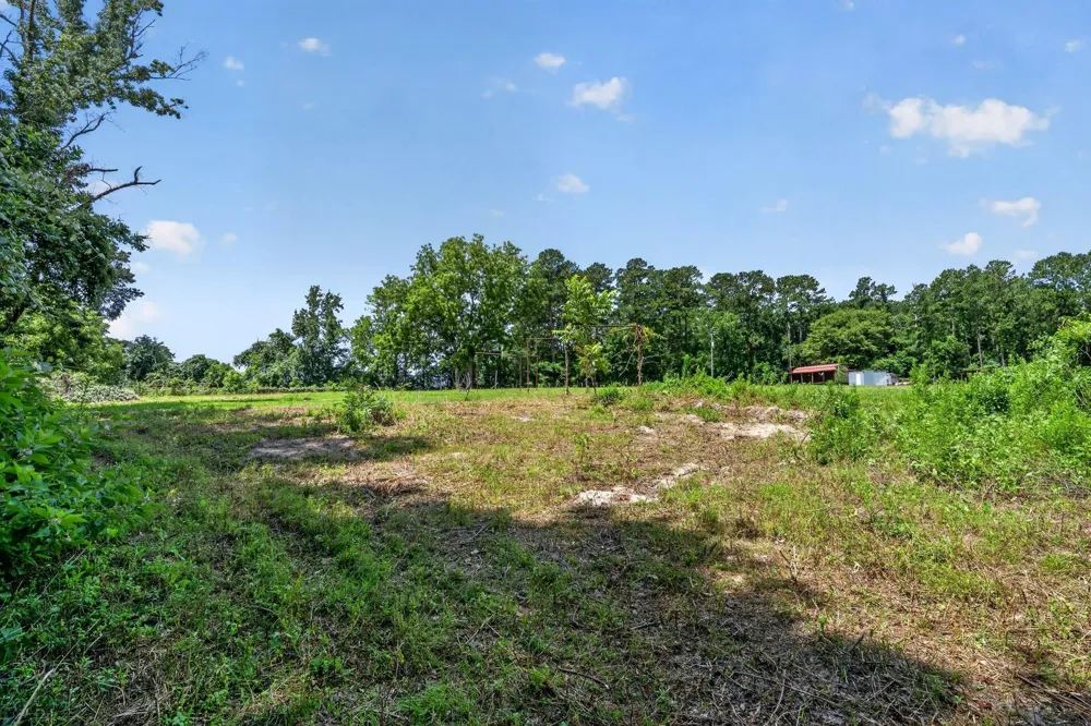 103 Perry Drive Coldspring, TX 77331