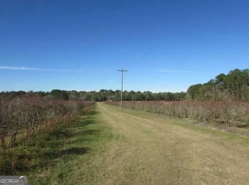 1019 D H Alderman RD Moultrie, GA 31788