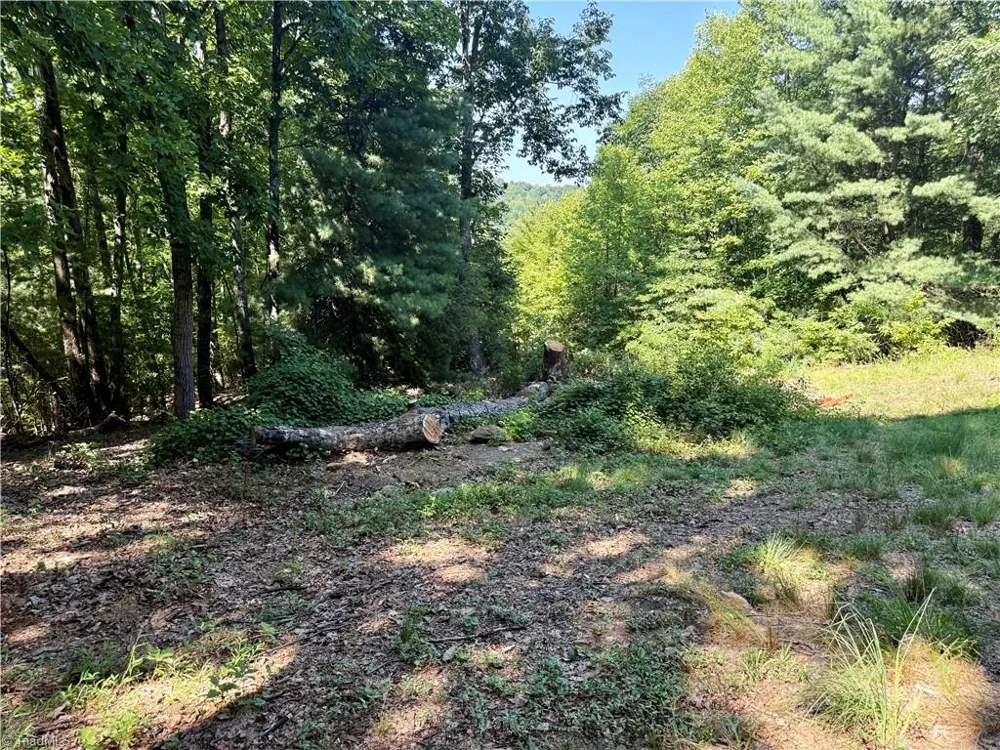 900 Smokey Mtn Trail North Wilkesboro, NC 28659