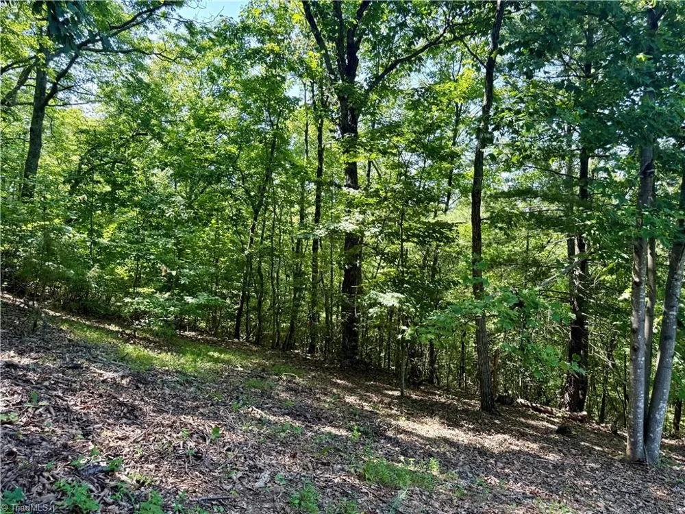 900 Smokey Mtn Trail North Wilkesboro, NC 28659