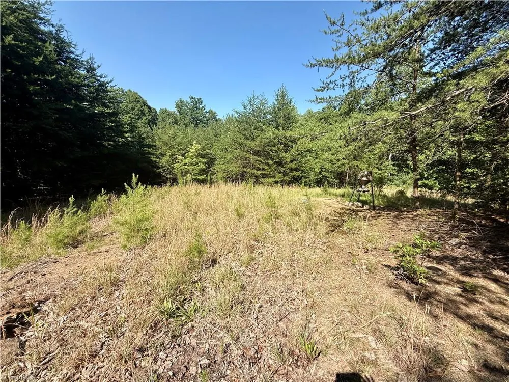 900 Smokey Mtn Trail North Wilkesboro, NC 28659