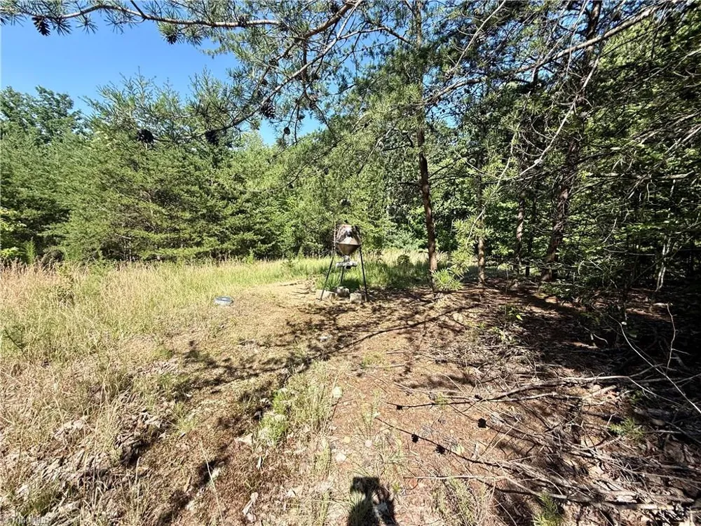 900 Smokey Mtn Trail North Wilkesboro, NC 28659