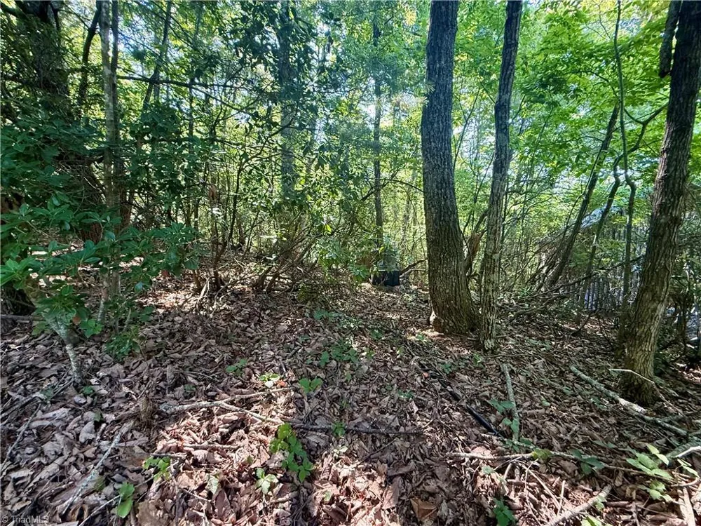 900 Smokey Mtn Trail North Wilkesboro, NC 28659