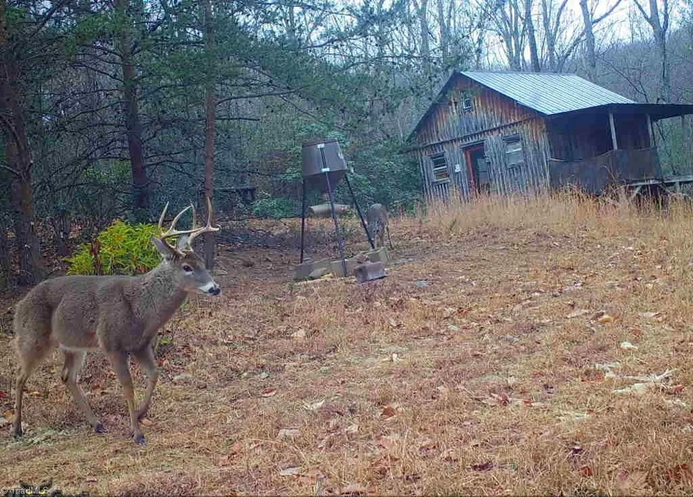 900 Smokey Mtn Trail North Wilkesboro, NC 28659