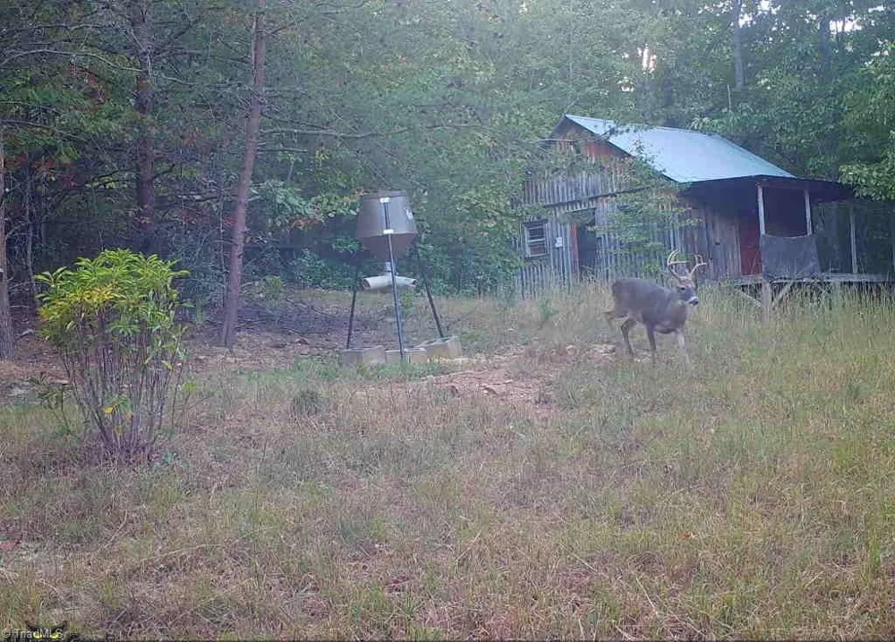900 Smokey Mtn Trail North Wilkesboro, NC 28659