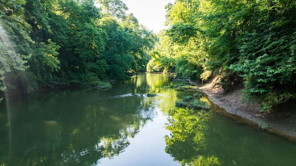426 Cotton Ln Franklin, TN 37069