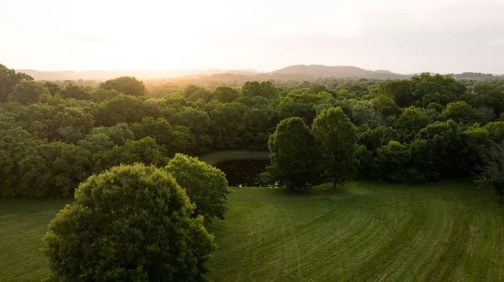 426 Cotton Ln Franklin, TN 37069
