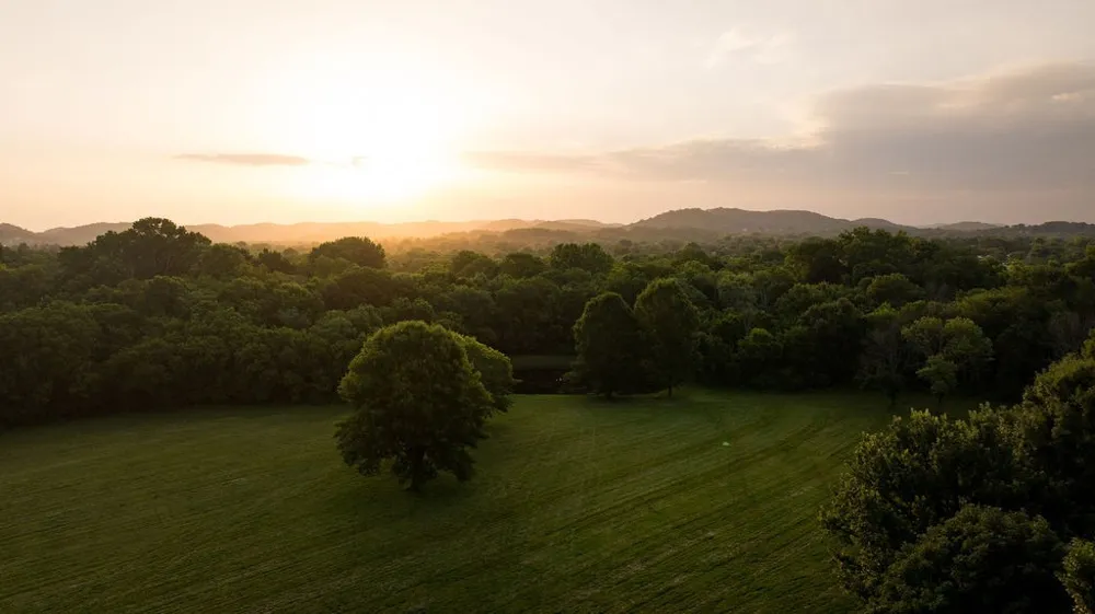 426 Cotton Ln Franklin, TN 37069