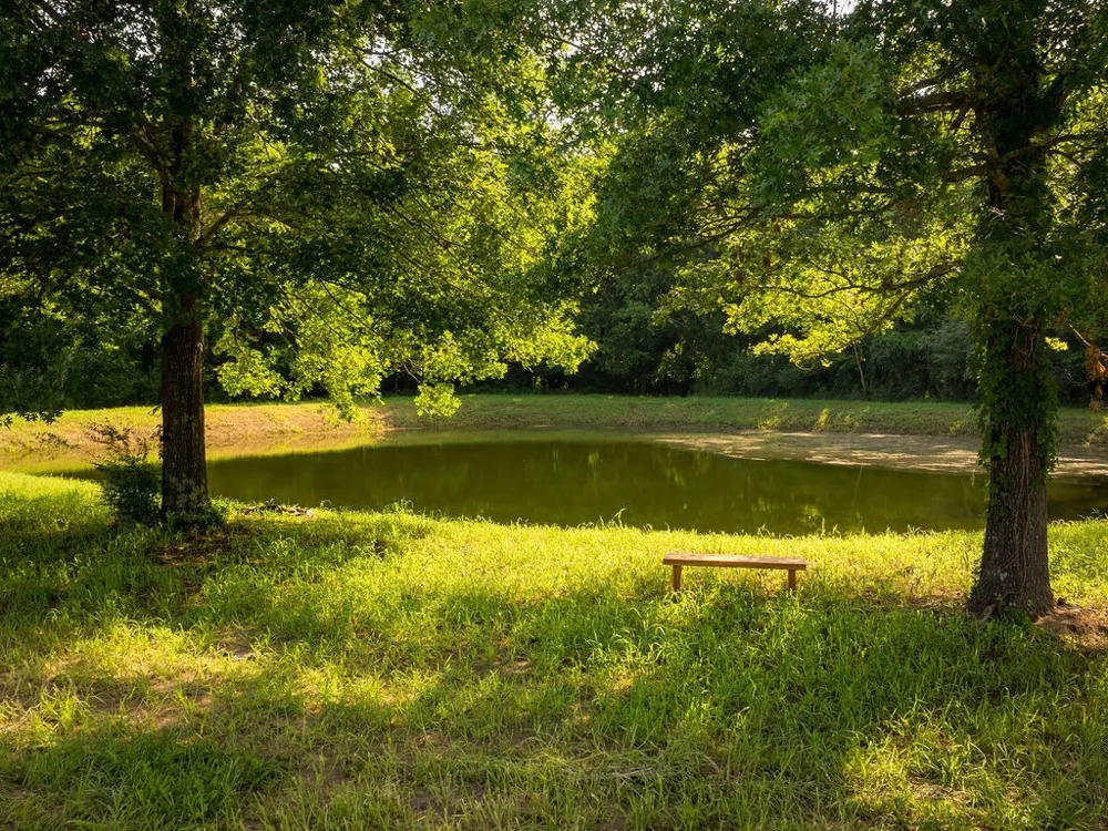 426 Cotton Ln Franklin, TN 37069