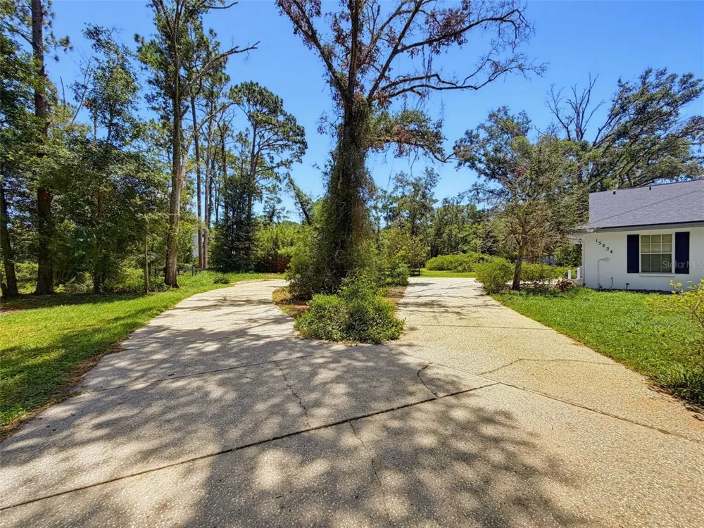 15234 SCANIO Spring Hill, FL 34610