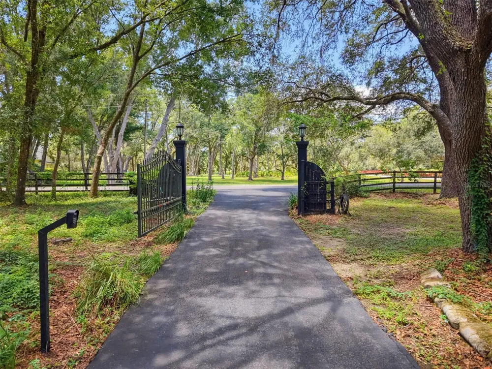 15234 SCANIO Spring Hill, FL 34610