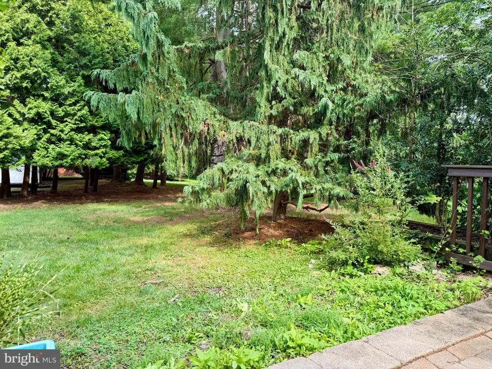 32 TAHOE New Hope, PA 18938