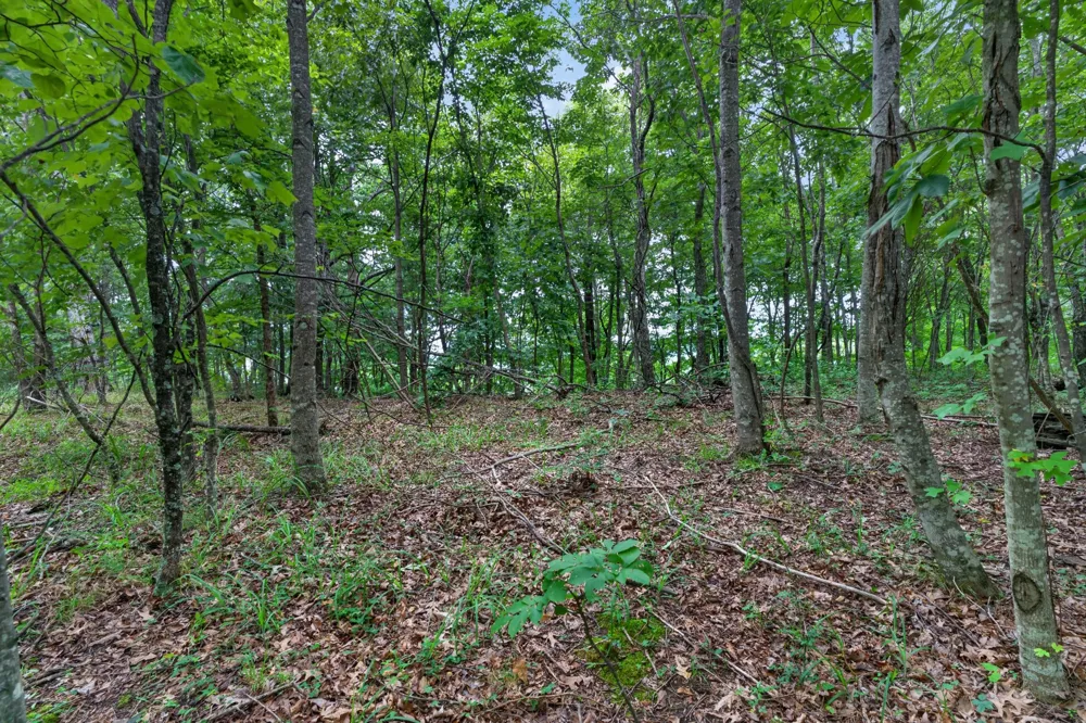 0 Eagle Cliff Road Monteagle, TN 37356