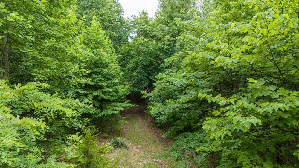 0 Eagle Cliff Road Monteagle, TN 37356