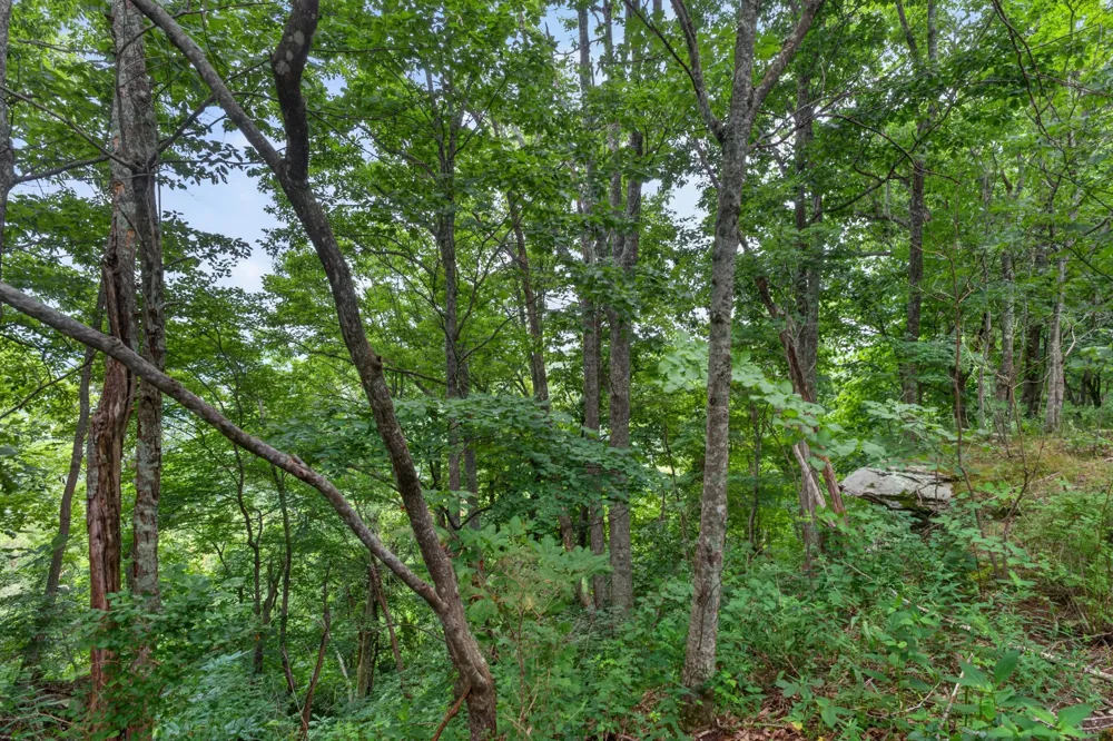 0 Eagle Cliff Road Monteagle, TN 37356