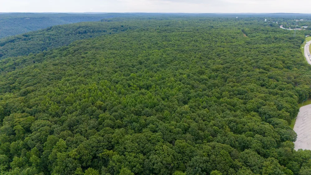 0 Eagle Cliff Road Monteagle, TN 37356