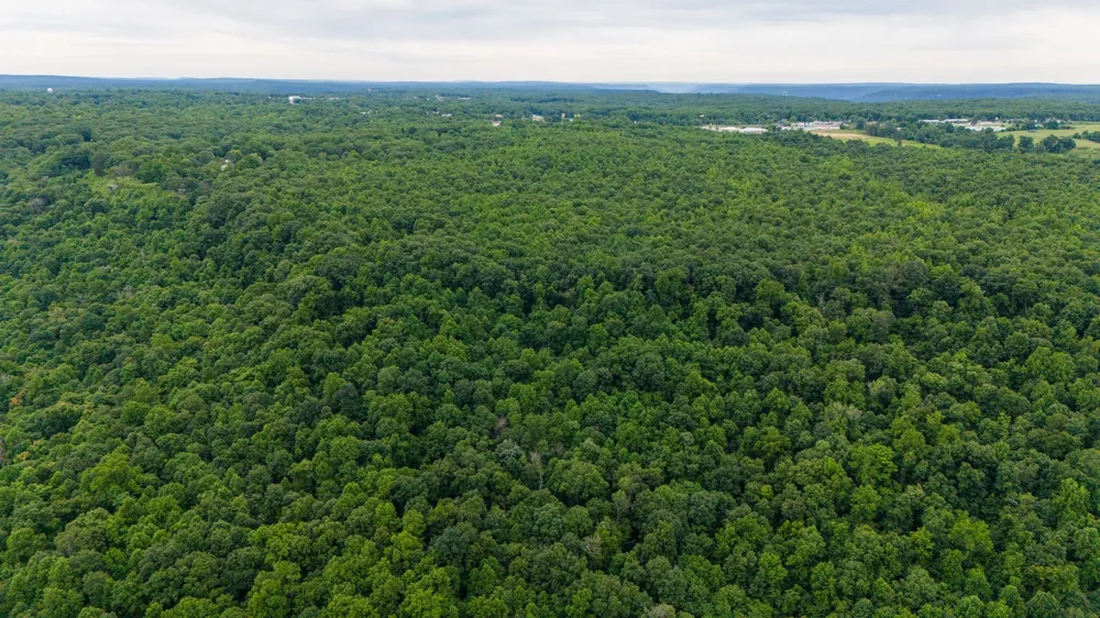 0 Eagle Cliff Road Monteagle, TN 37356