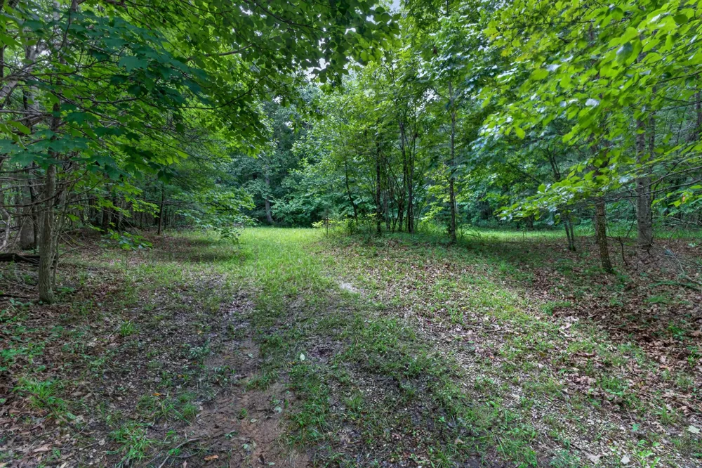 0 Eagle Cliff Road Monteagle, TN 37356