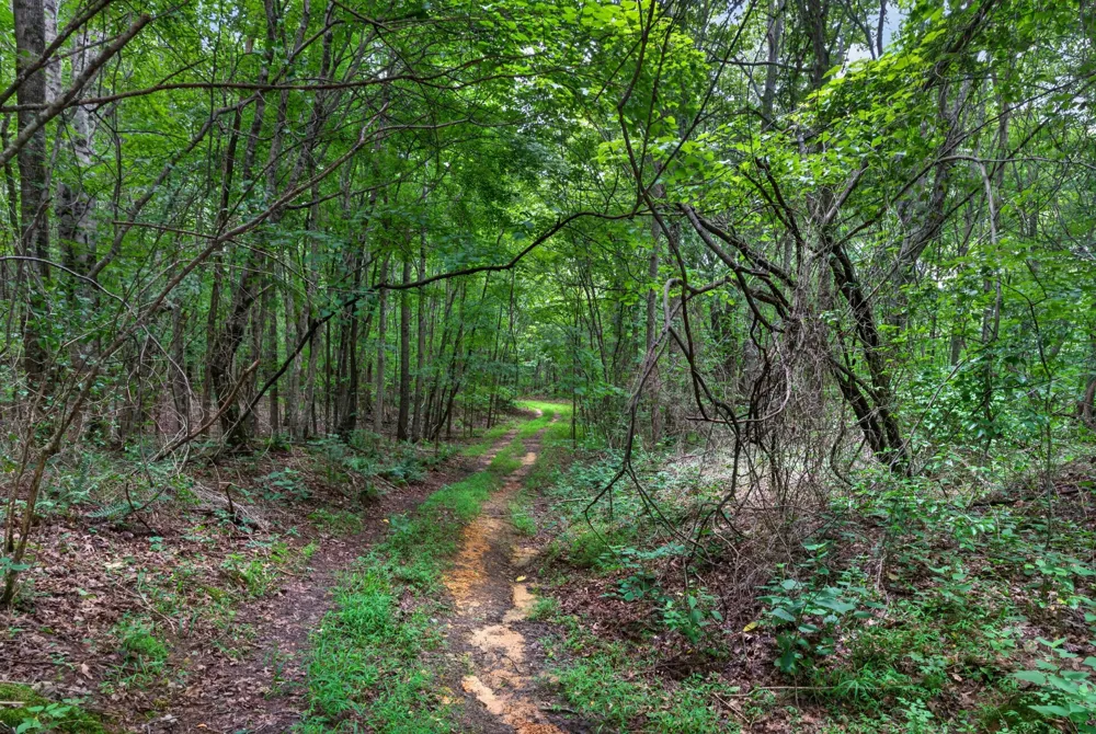 0 Eagle Cliff Road Monteagle, TN 37356