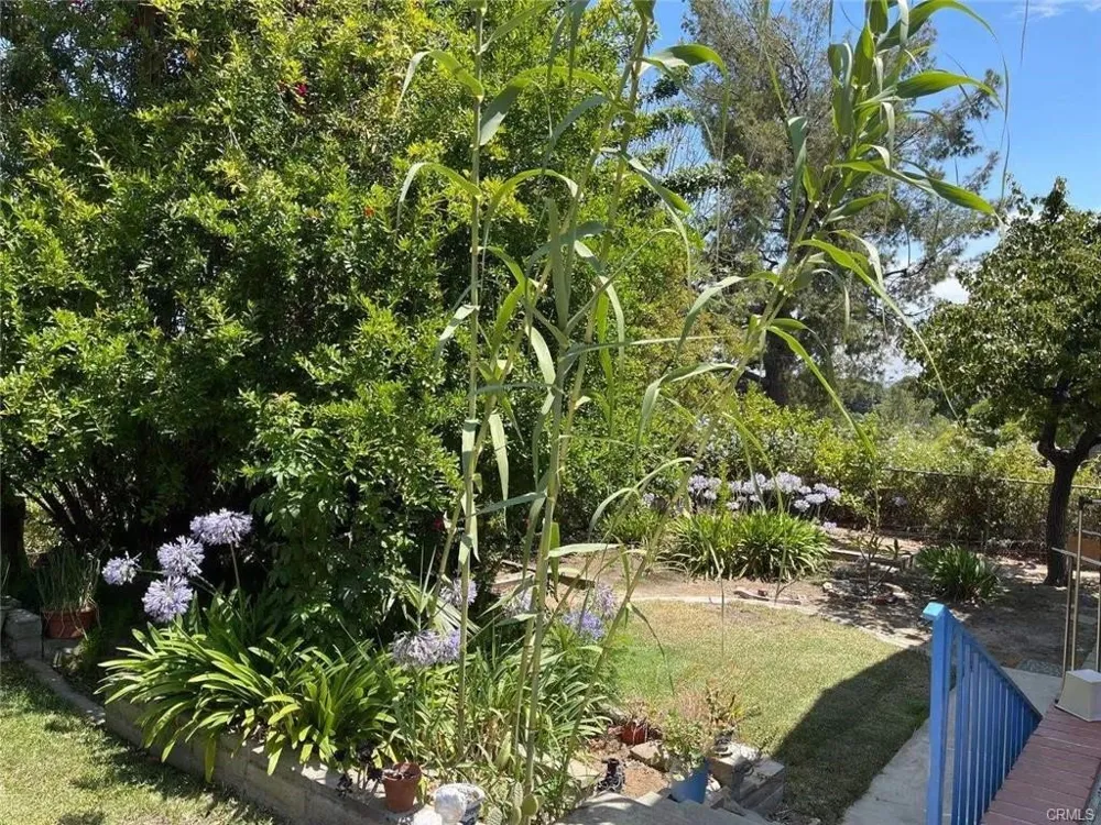 1420 Kensington Drive Fullerton, CA 92831