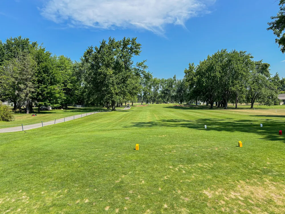 1032 Birdie Drive Broomfield Township, MI 48893