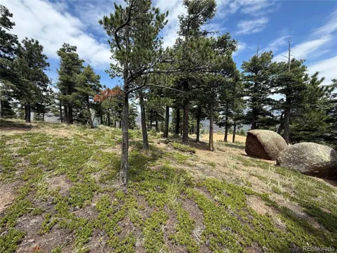 254 Grand Horizon View