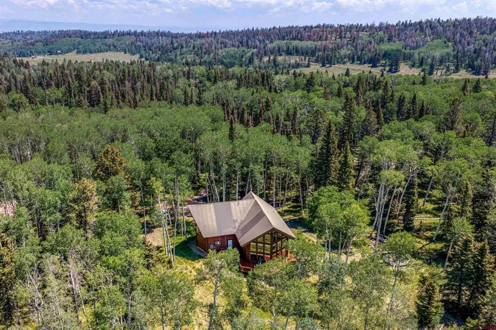 60 Spruce Drive Cimarron, CO 81220
